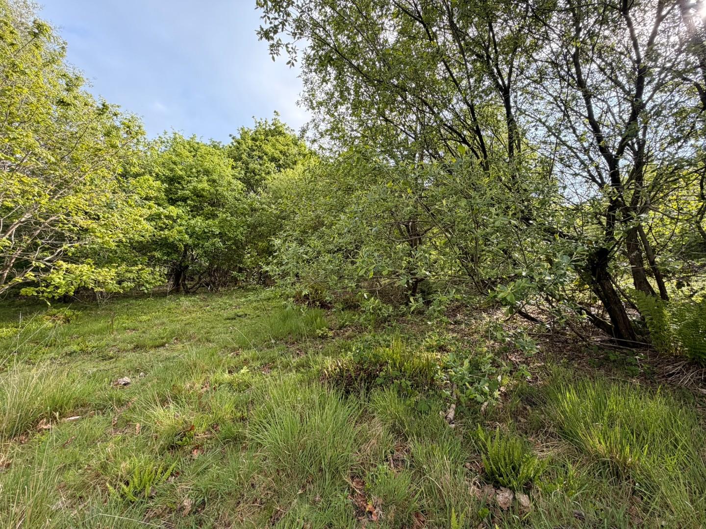 Approximately 5.706 acres adjacent to, Afan Valley Road, Cwmavon, Port Talbot SA12 9HA